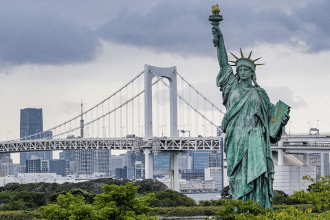 New York College Consulting